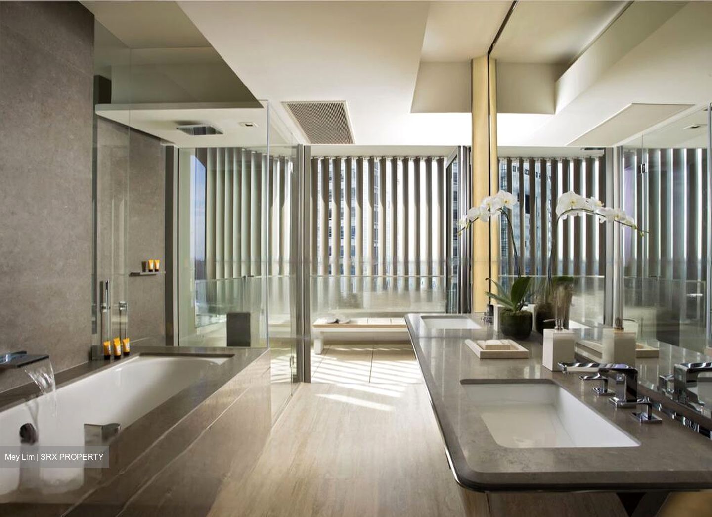 Ardmore Residence (D10), Condominium #455627061